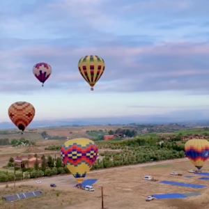 Top 10 Best Things to Do in Temecula, California [Temecula Travel Guide 2024]